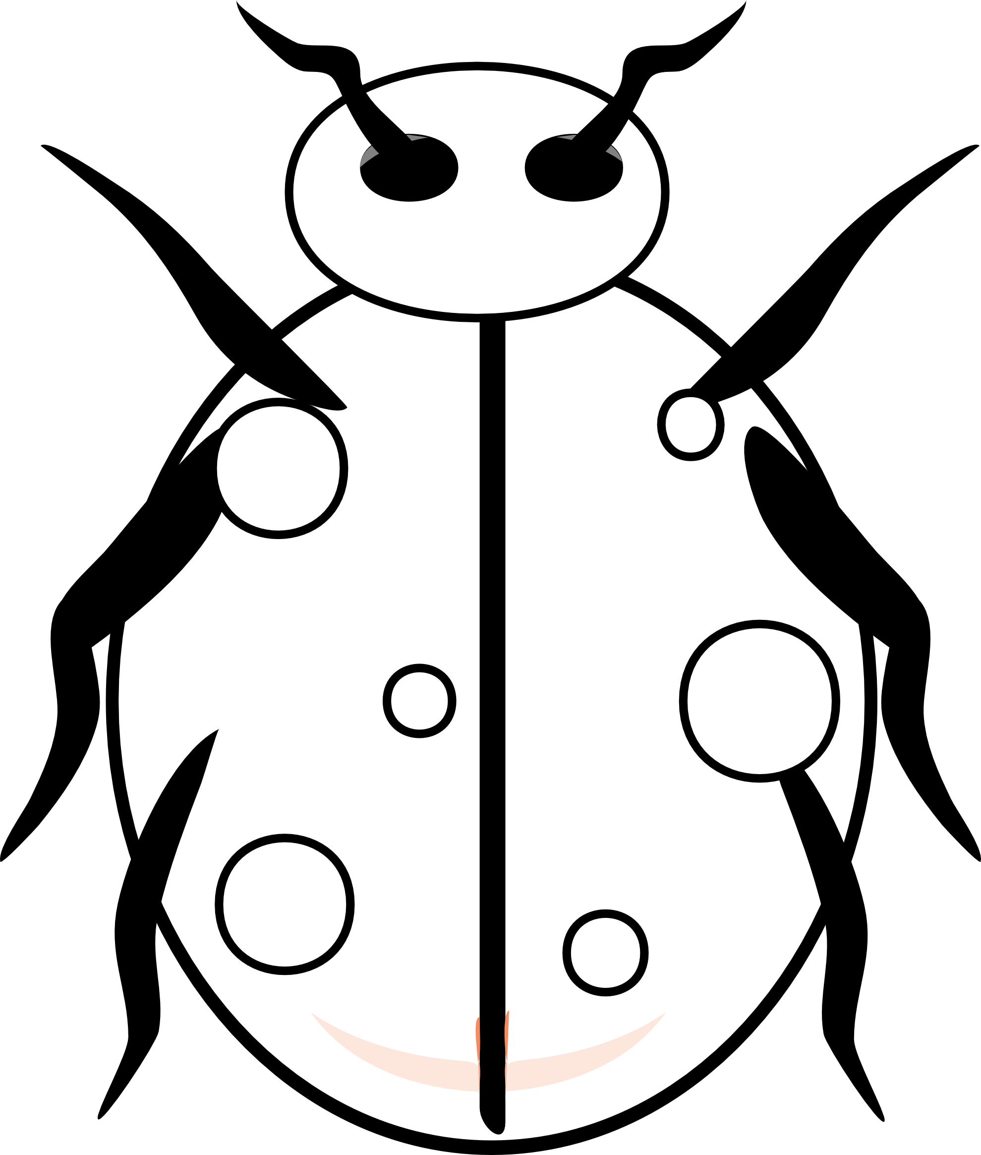 Free Printable Ladybug Coloring Pages For Kids