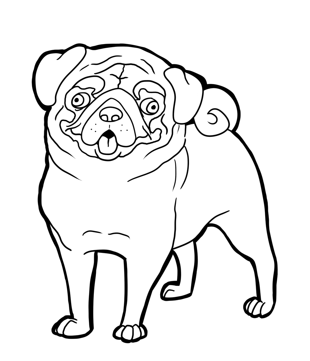 Pug Coloring Pages Best Coloring Pages For Kids