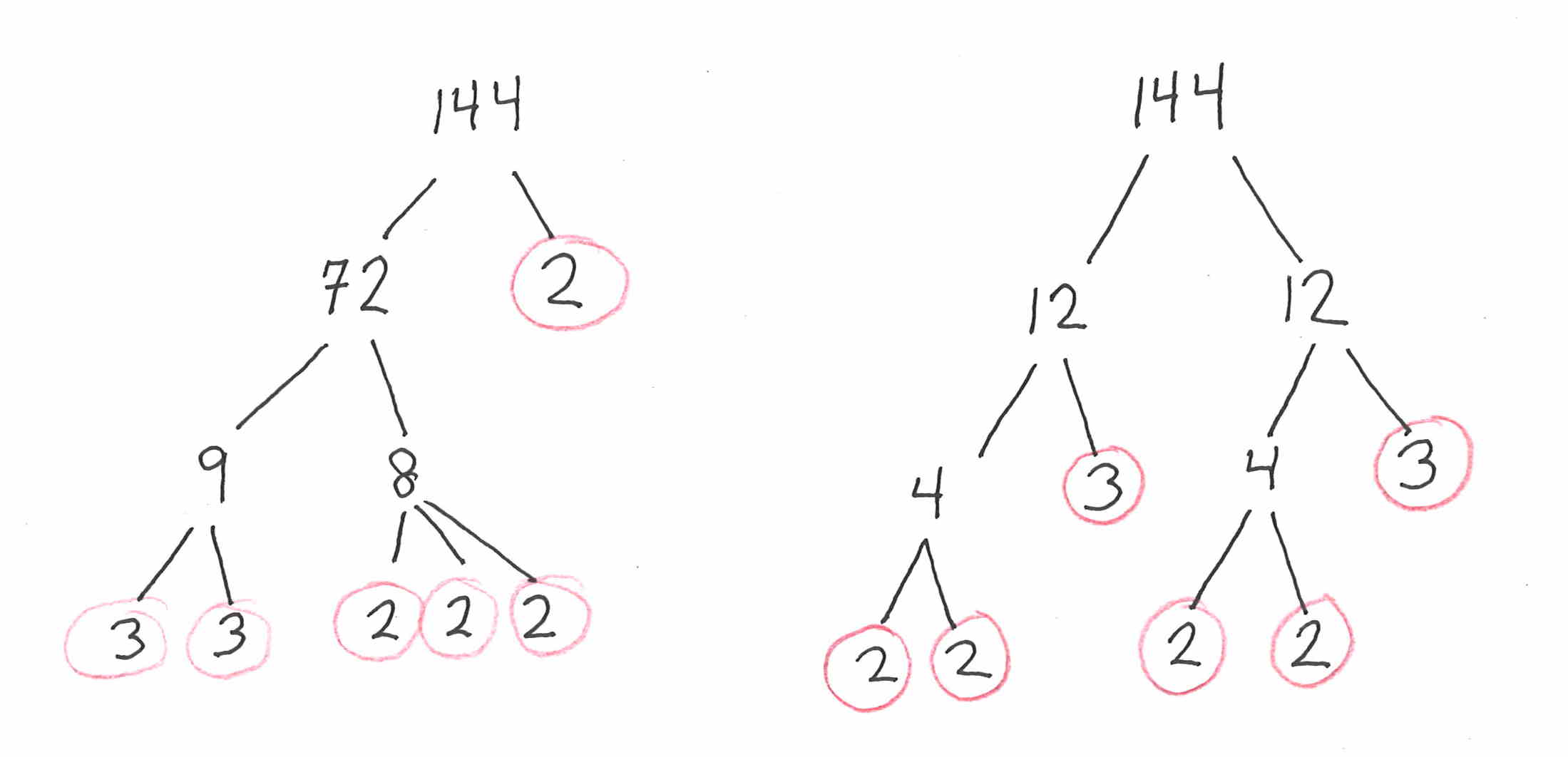 Prime Factorization & The Unique Factorization Theorem Bubbly Primes