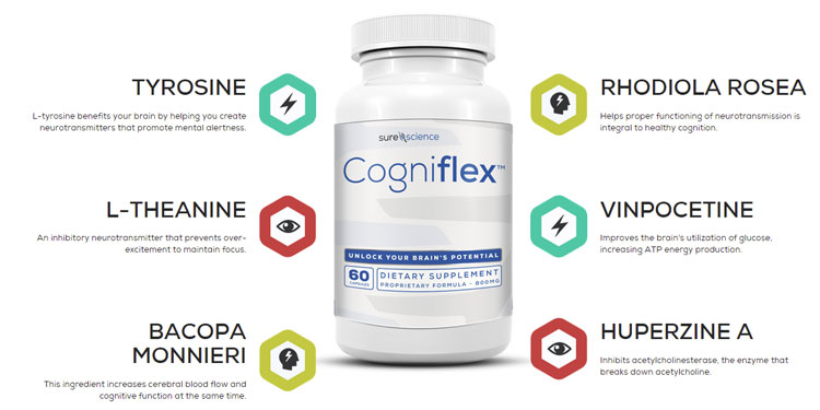 Buy Cogniflex For Sale Online Best Brain Boosting Benefits