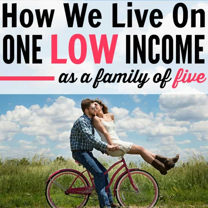 How to budget money on low income. How To Budget Money On Low Income For A Family of Five