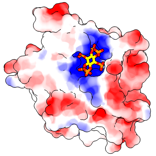 Molecular Visualization with UCSF Chimera Making Images