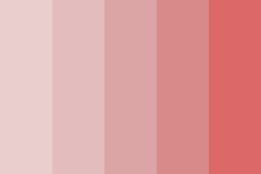 Fluttering Heart Color Palette