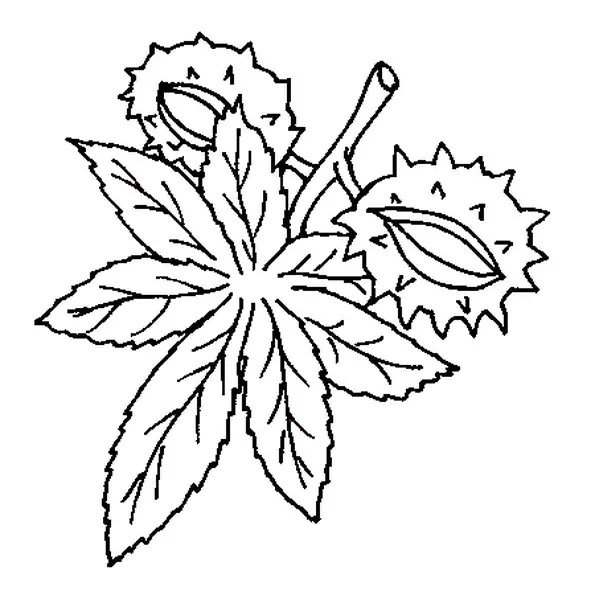 MARRON Coloriage Marron en Ligne Gratuit a imprimer sur COLORIAGE TV