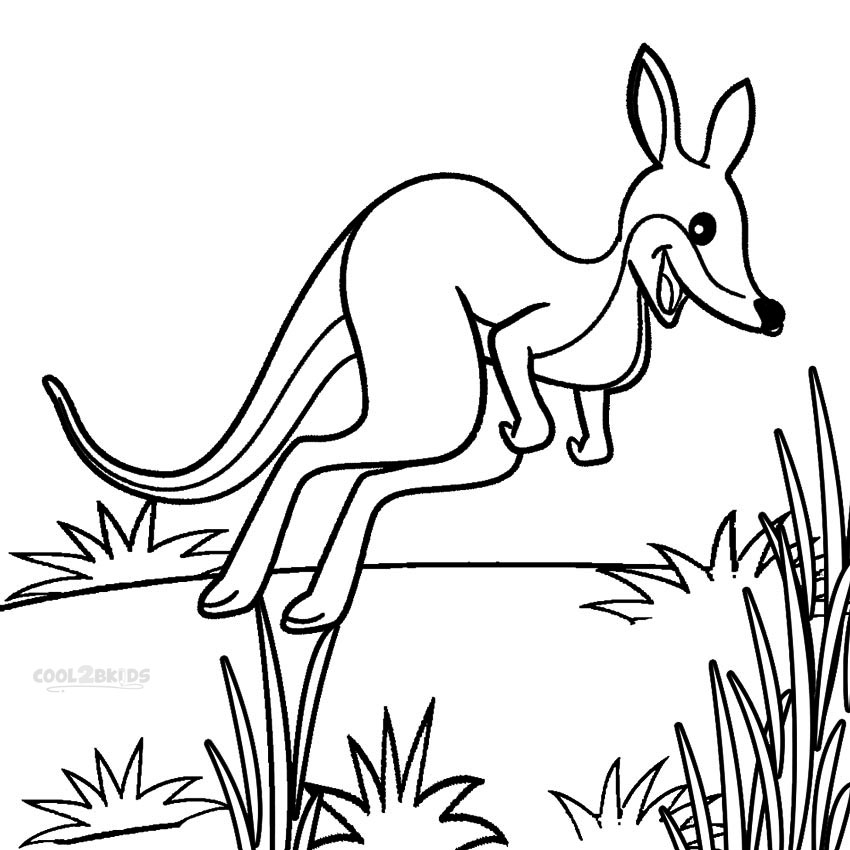 Printable Kangaroo Coloring Pages For Kids Cool2bKids