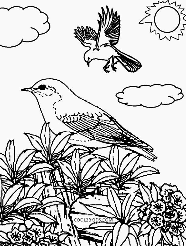 Printable Nature Coloring Pages For Kids Cool2bKids