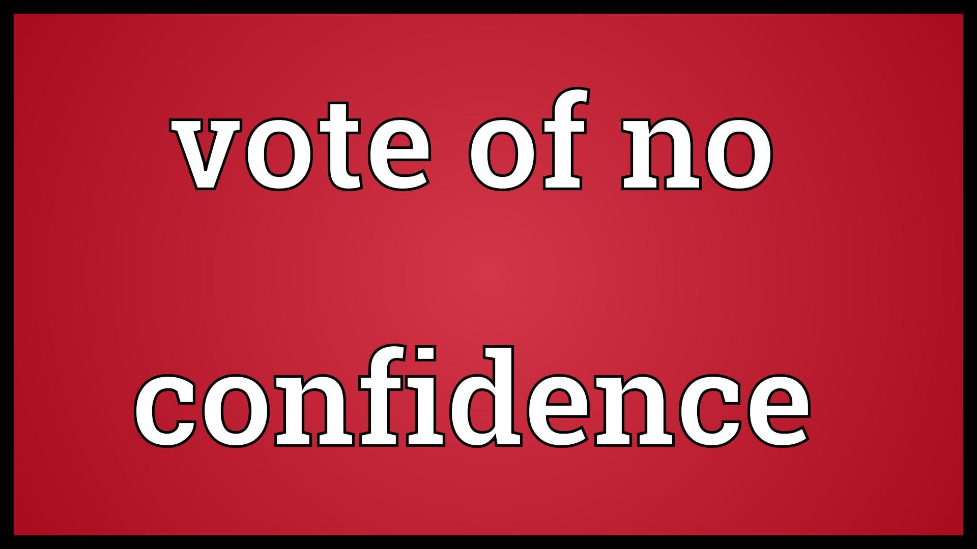 Waverley Leader advised of No Confidence Vote Cranleigh