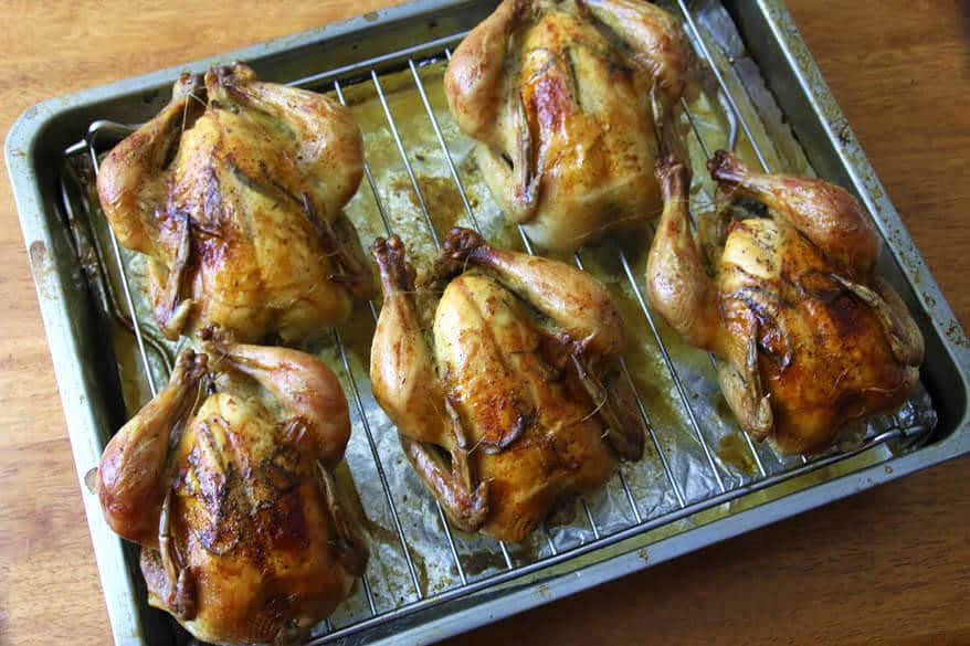 Roasted Cornish Game Hens with Garlic, Herbs and Lemon The Daring Gourmet