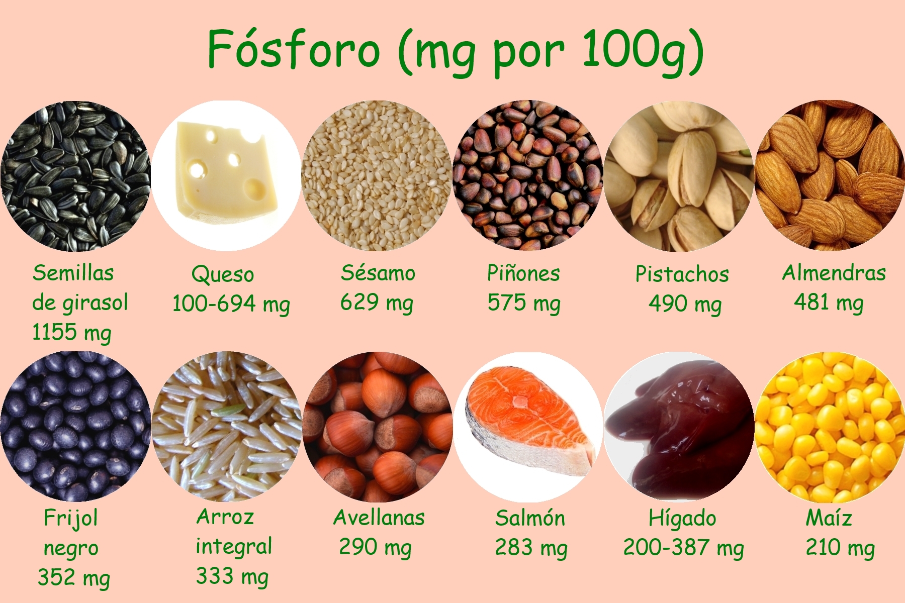 Fosforo propiedades Dietas Deportivas