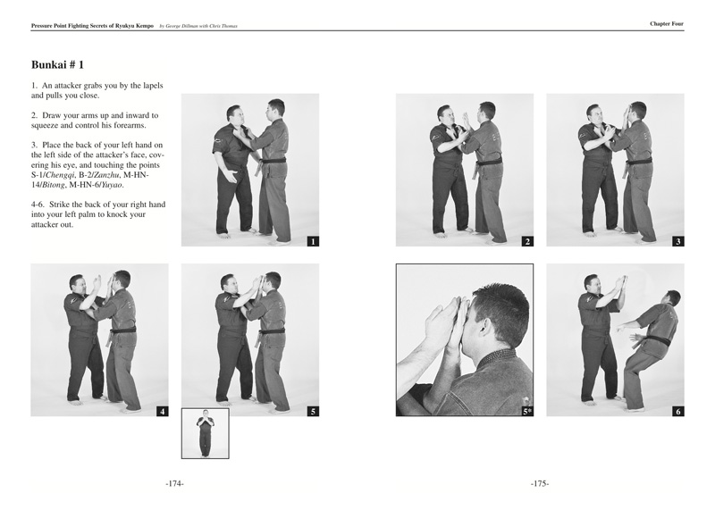 KYUSHOJITSU THE DILLMAN METHOD OF PRESSURE POINT FIGHTING PDF