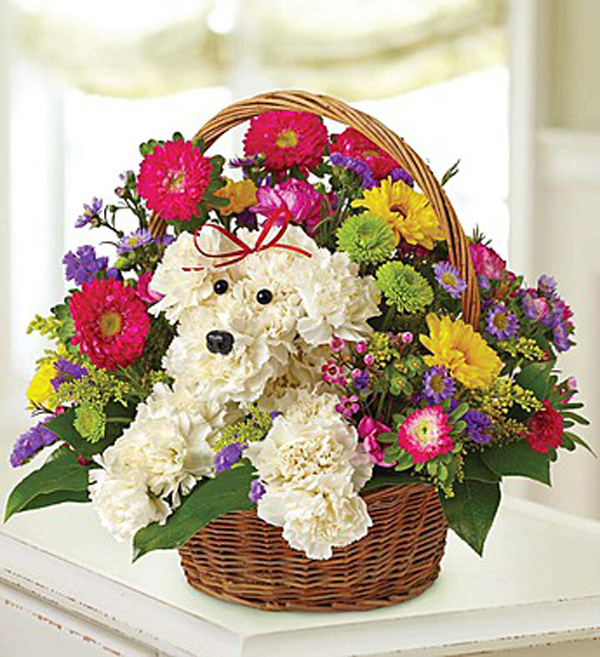 How About Some DogShaped Flowers for Mother's Day?
