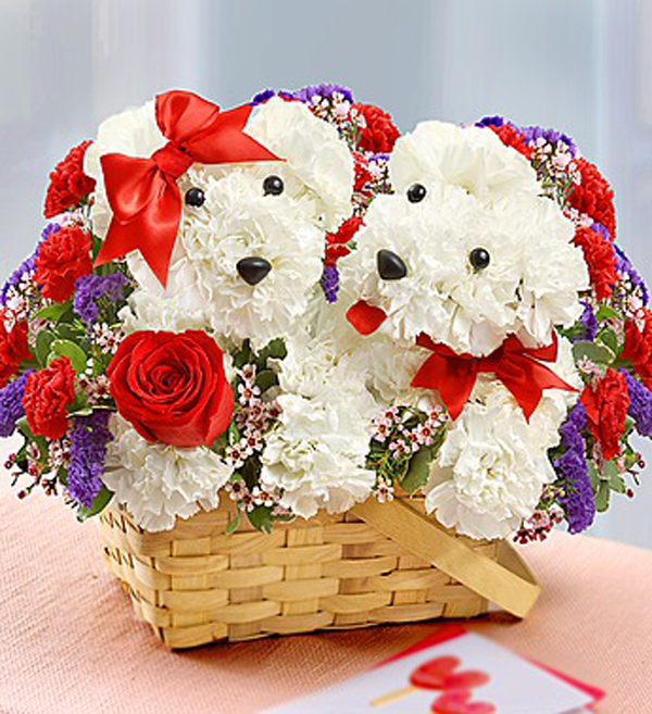 How About Some DogShaped Flowers for Mother's Day?