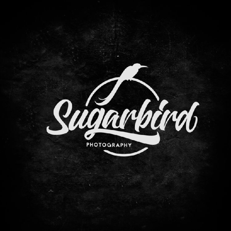Lettering and Calligraphy Logos 2016 David Milan