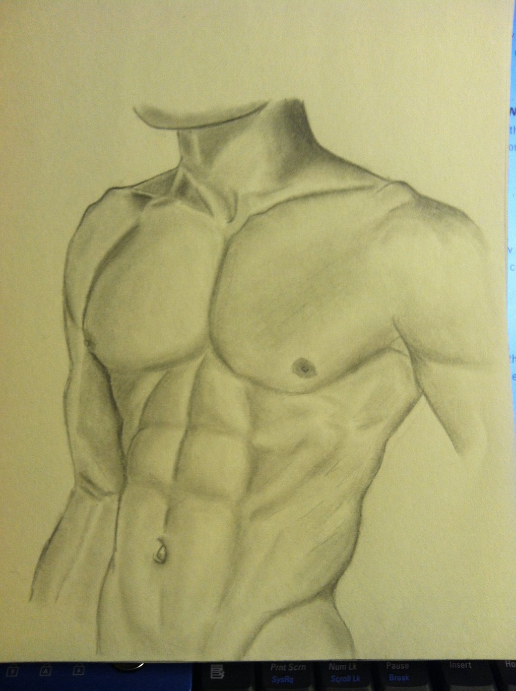 Abs Drawing, Pencil, Sketch, Colorful, Realistic Art Images Drawing Skill
