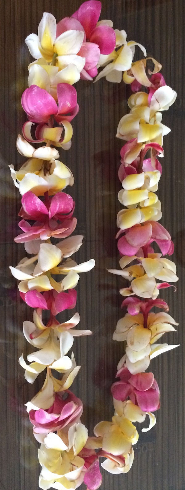 How to Store a Lei