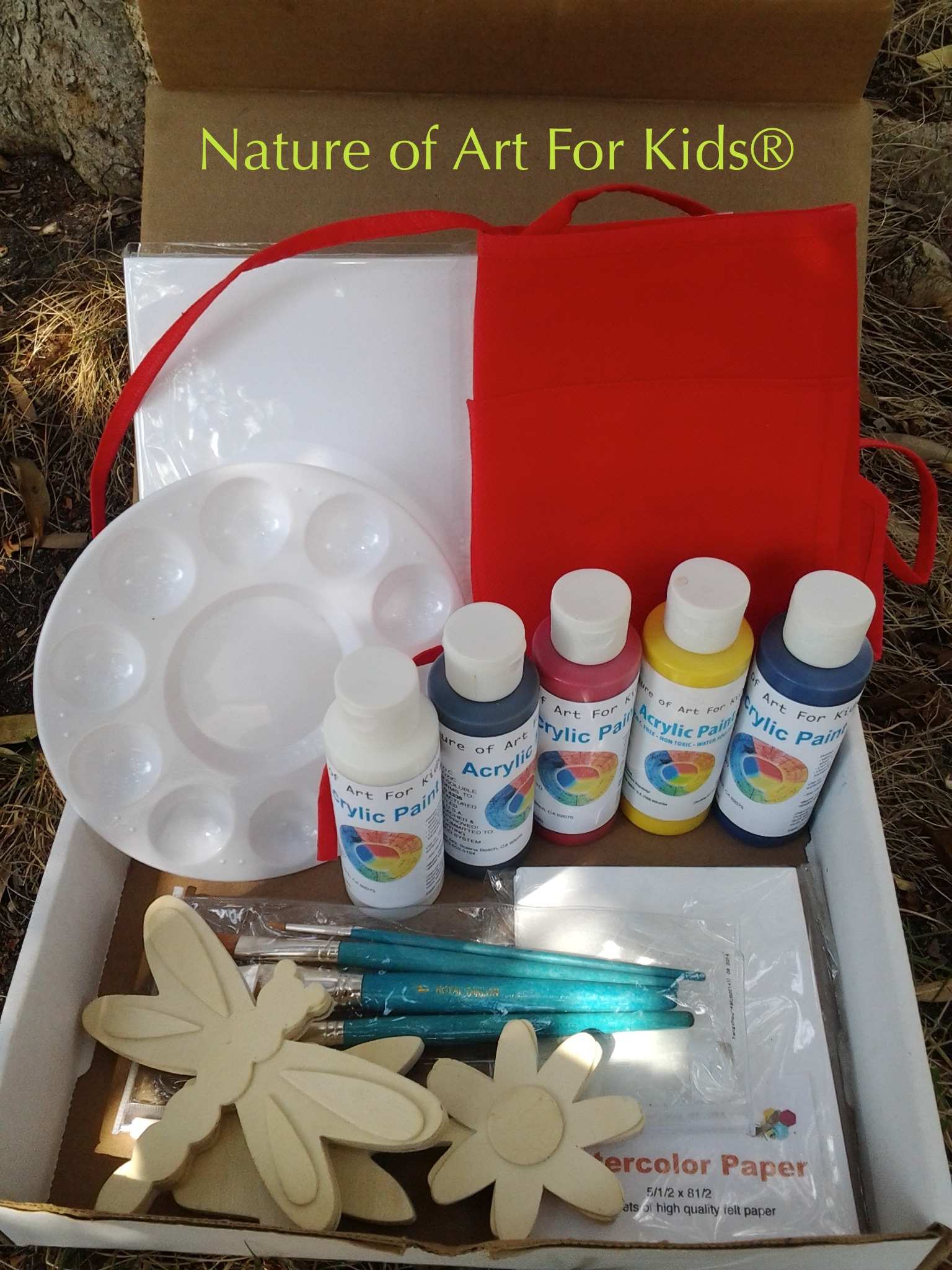 Buy Acrylic Safe Artist Paints For Kids, Earth Friendly