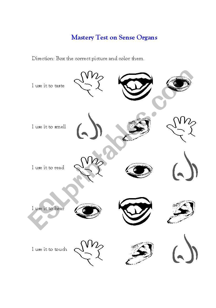 English worksheets Mastery Test on Sense Organs