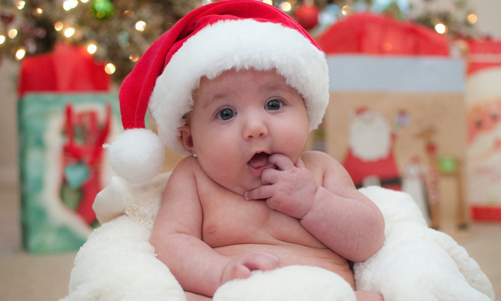 Meet The Cutest Christmas Babies Who Can be on Your Holiday Cards
