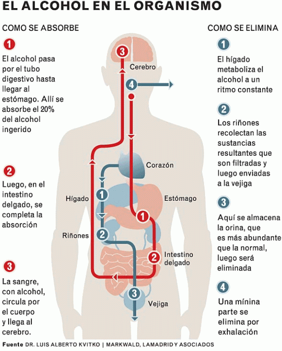 HABLEMOS DEL ALCOHOL FITNESSREAL.ES