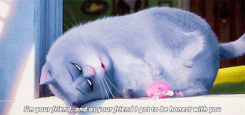 Check spelling or type a new query. Help Us What Color Is Chloe The Cat From The Secret Life Of Pets