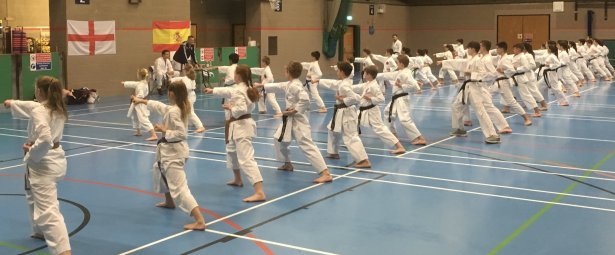 Karate Clubs in Dorset and Hampshire Freestyle Combat Karate