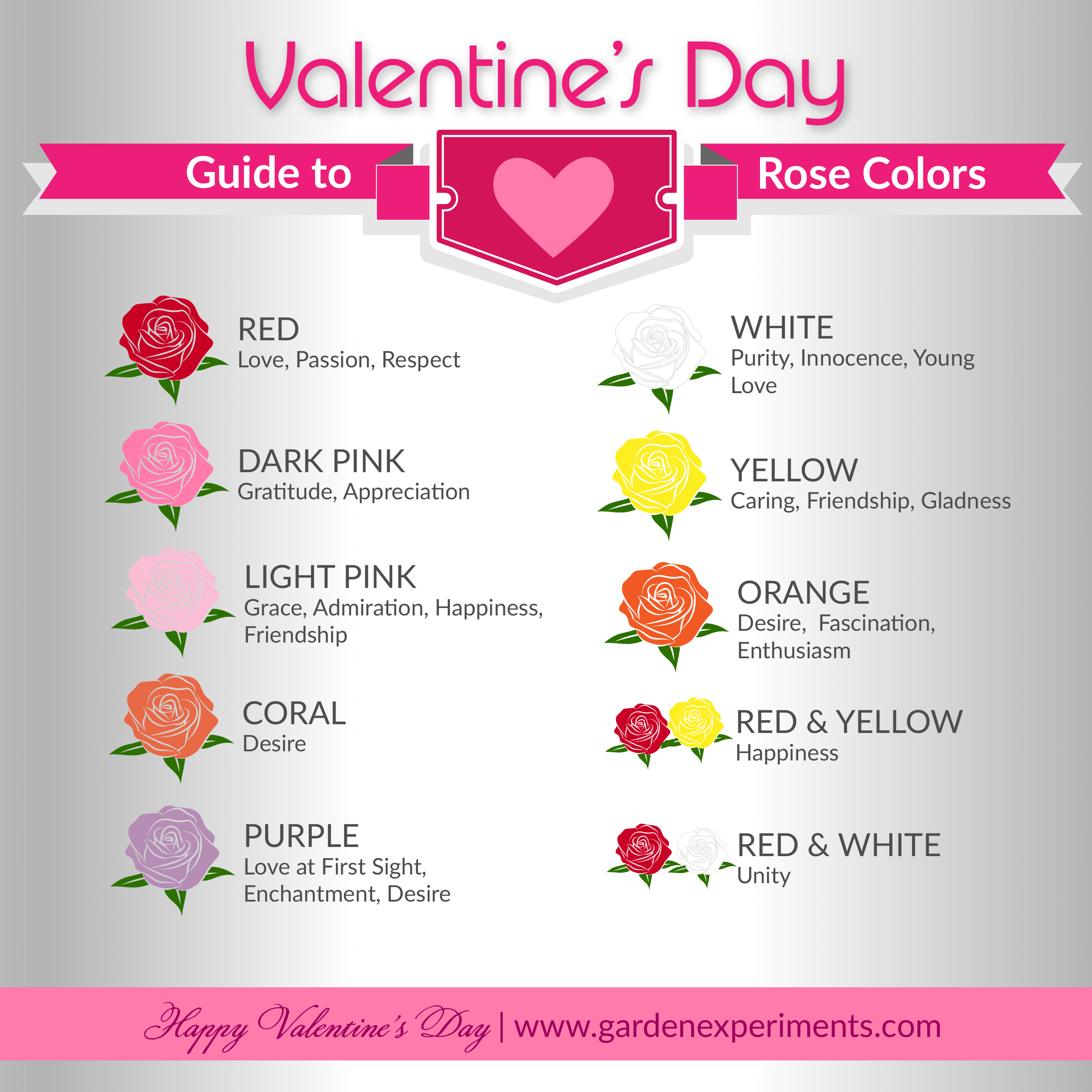 The Meaning of Rose Colors A Valentine's Day Guide