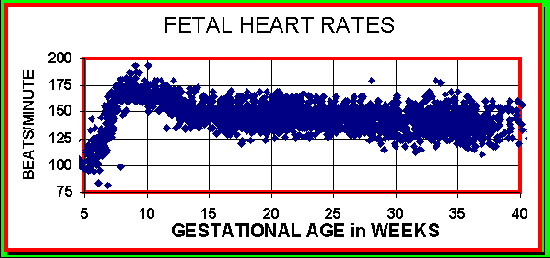 Babies heart rates 7 weeks. — The Bump