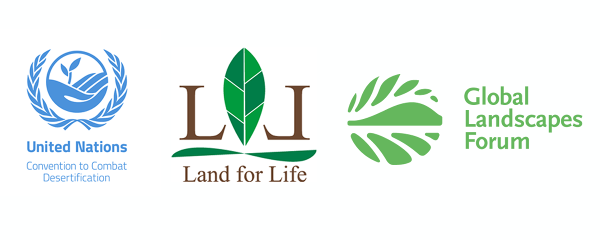 International youth day (iyd) gives an opportunity to celebrate and mainstream young peoples' voices, actions and initiatives, as well as the theme of international youth day 2020, youth engagement for global action seeks to highlight the ways in which the engagement of young people at the local. Global Landscapes Forum receives 2021 Land for Life Award ...