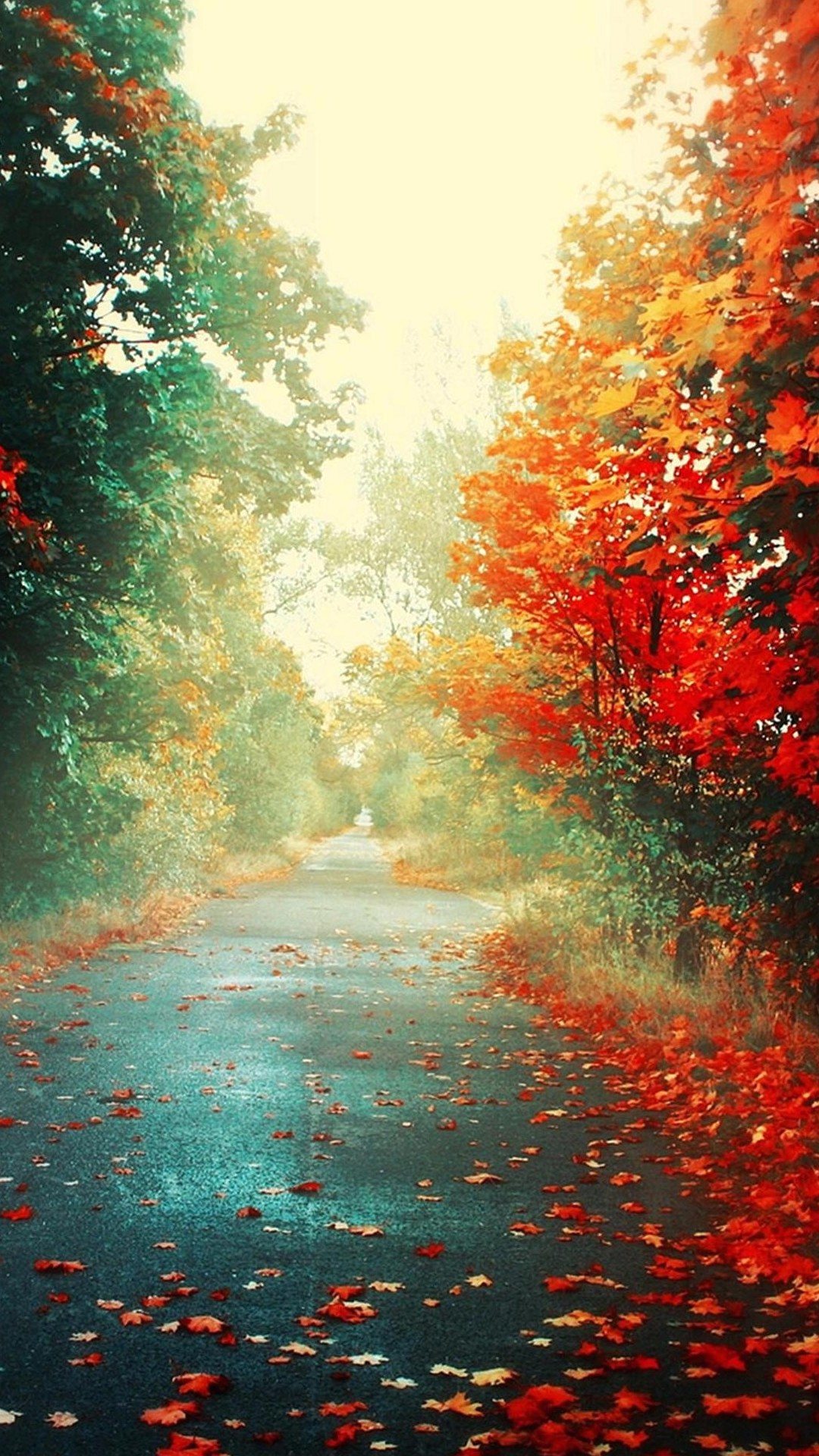Fondos de pantalla para Android, Wallpapers Android Gratis
