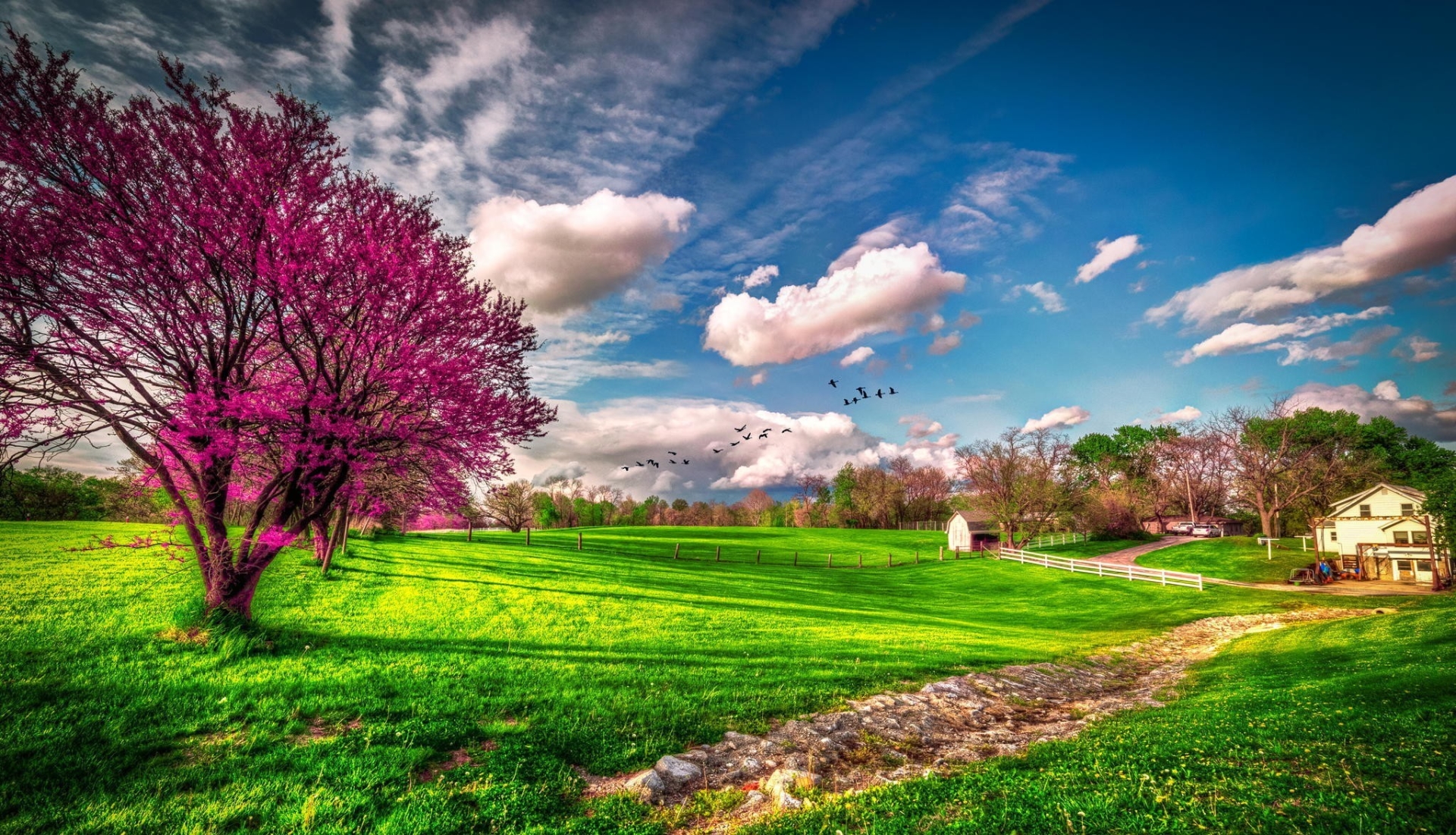 Fondos de pantalla de Primavera, Wallpapers HD