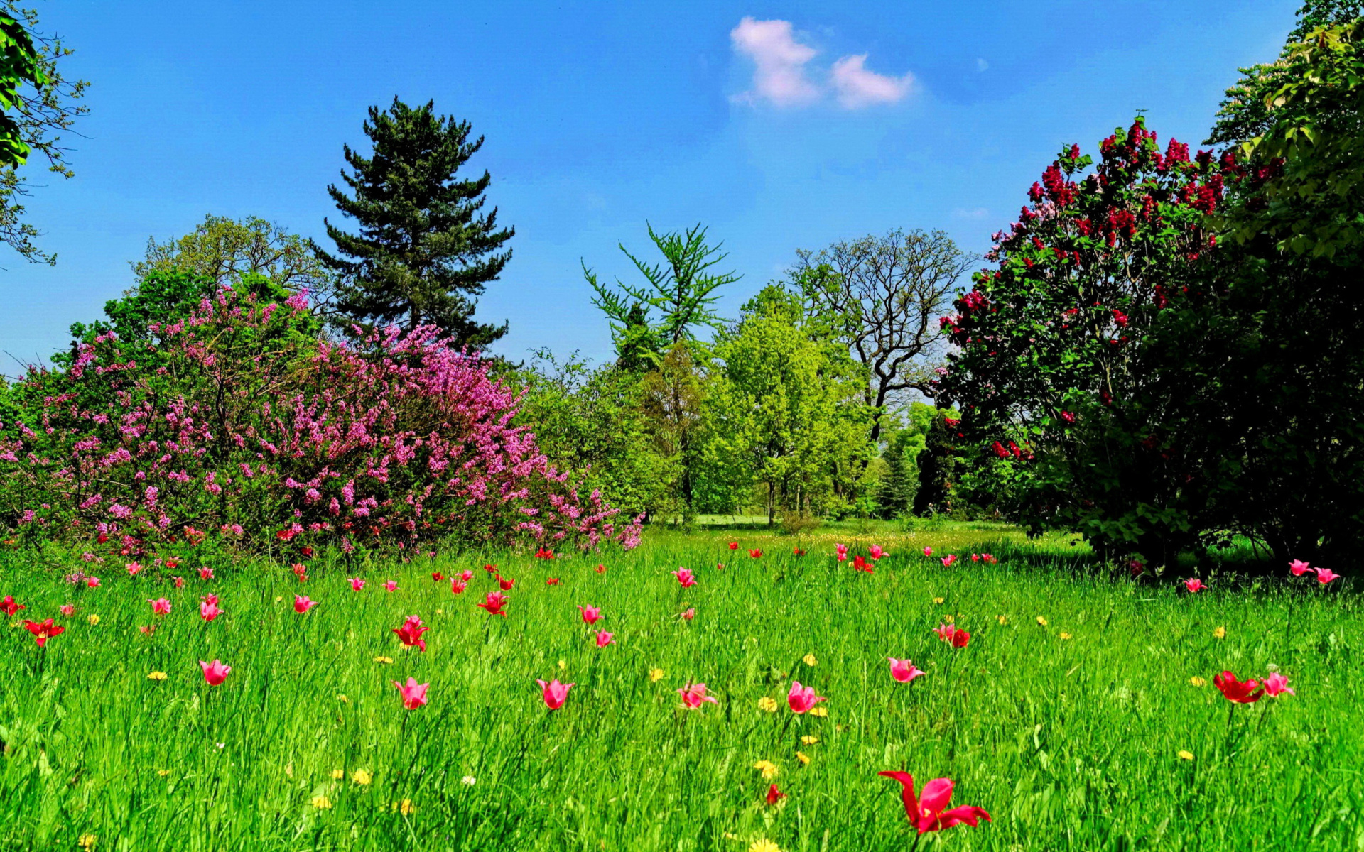 Fondos de pantalla de Primavera, Wallpapers HD