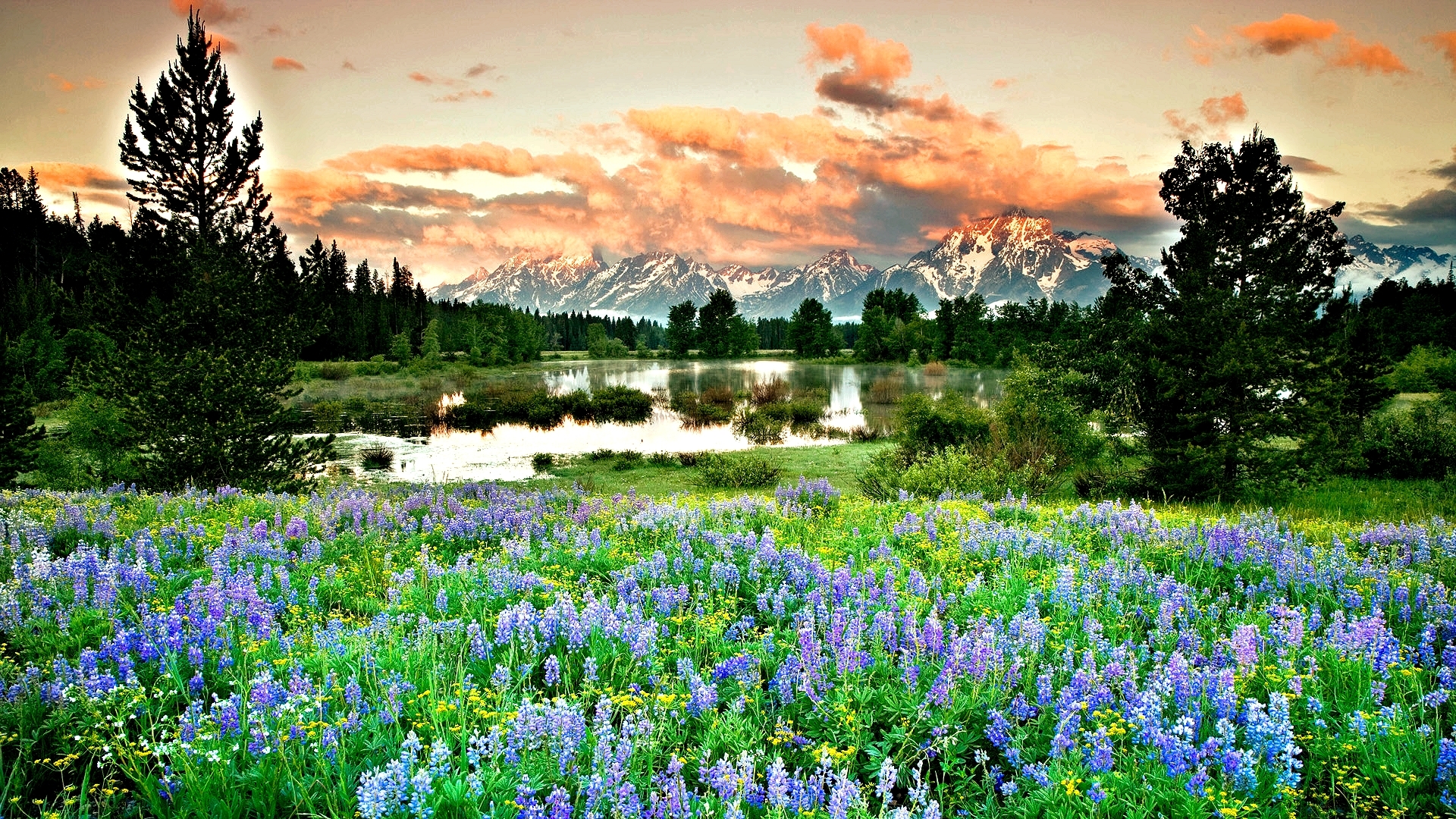 Fondos de pantalla de Primavera, Wallpapers HD