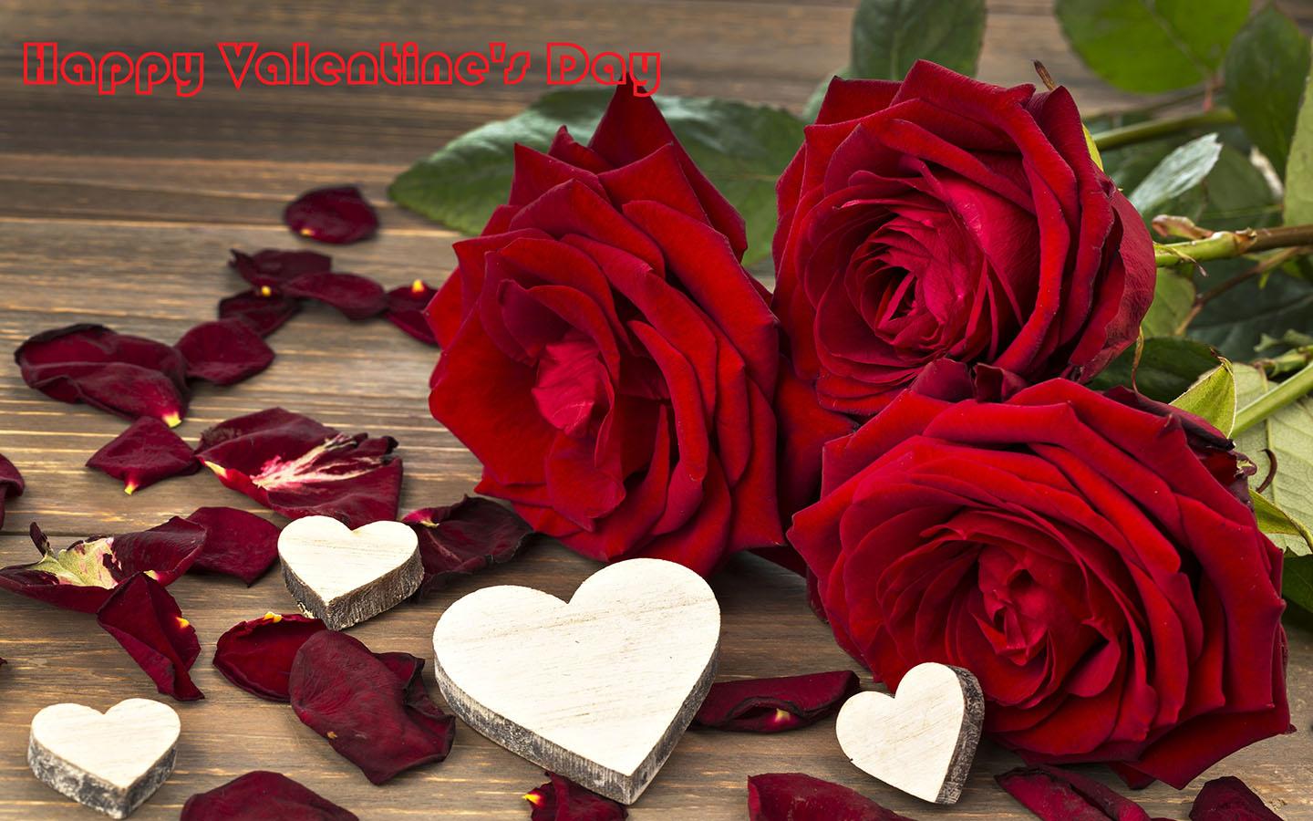 Valentine’s Day Romantic Red Roses HD Wallpapers Free