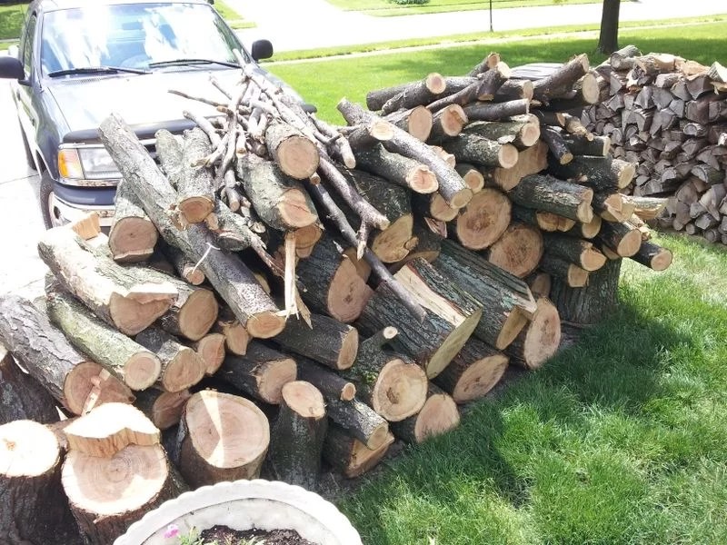 Honey Locust score Forums Home