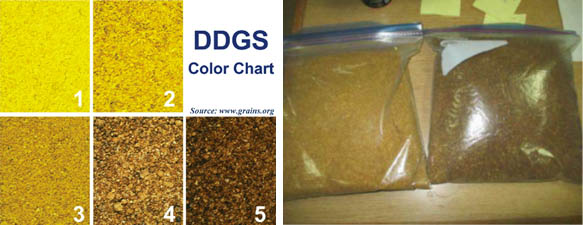 Tanker owner sees bright prospects ahead