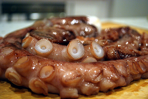 How Much Does an Octopus Cost?