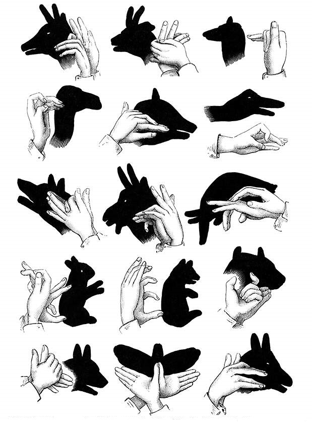 How to make simple hand shadows How To Instructions