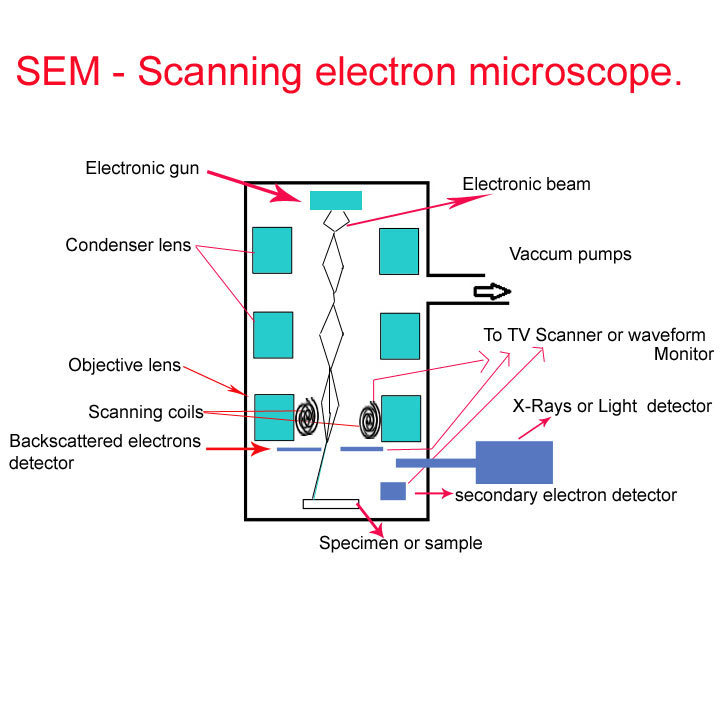 The Principles and Practice of Electron.