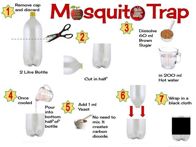 BEST homemade mosquito trap that really works! Info Bohol