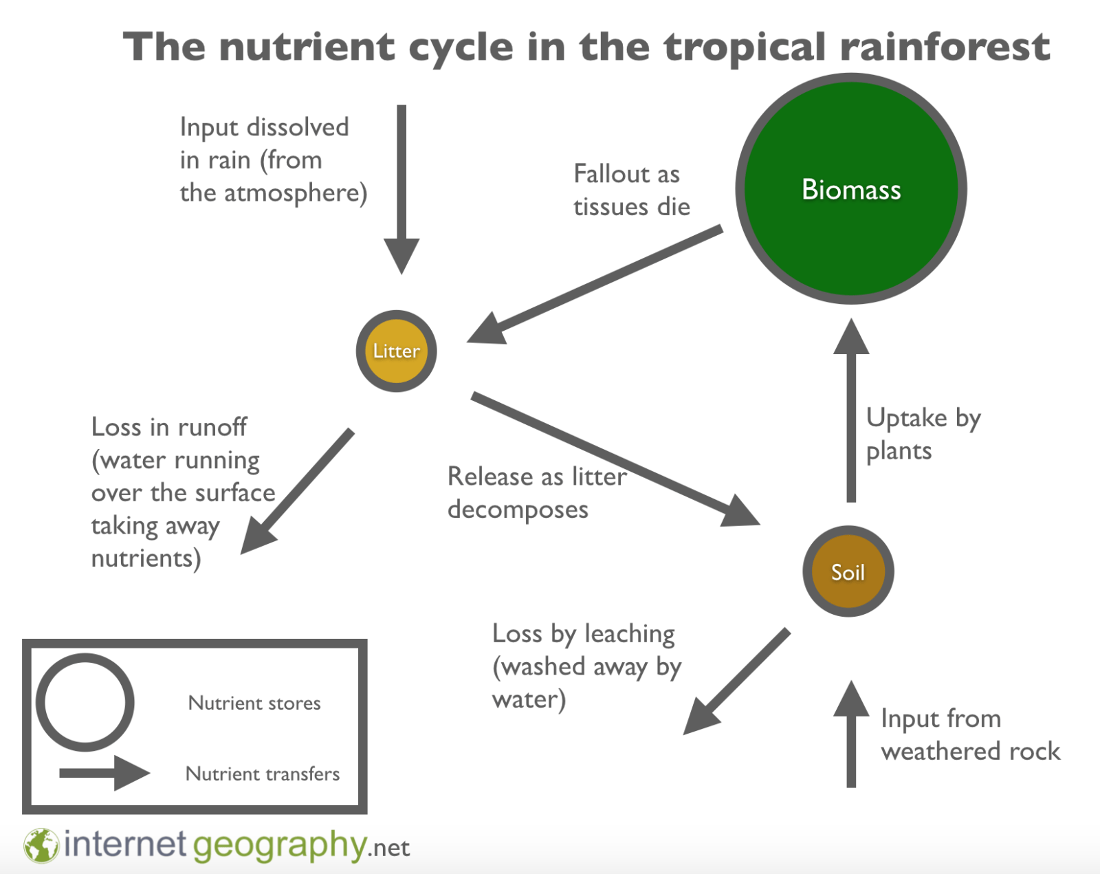 Concept Map on Biogeochemical Cycle.docx Course Hero