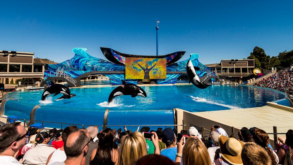 San Diego Zoo Crowd Calendar Printable Calendars AT A GLANCE(04)