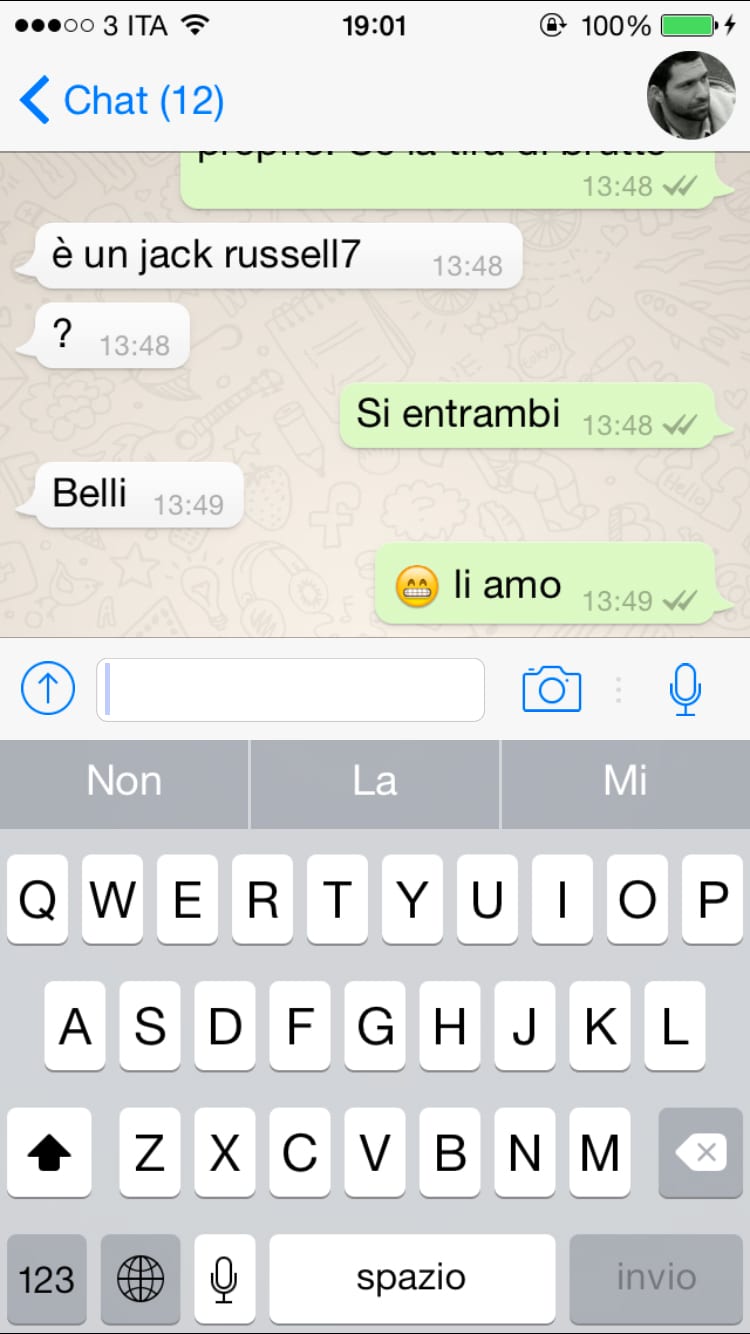 In anteprima WhatsApp per iPhone 6 ed iPhone 6 Plus su