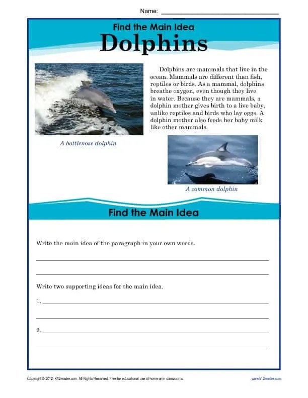 5th Grade Main Idea Worksheet About Dolphins