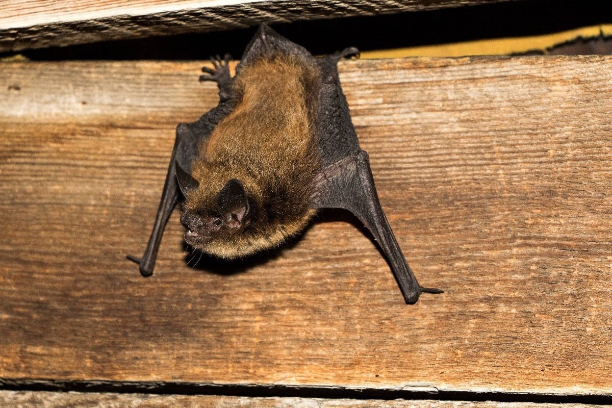 Kingsdale Blog Document