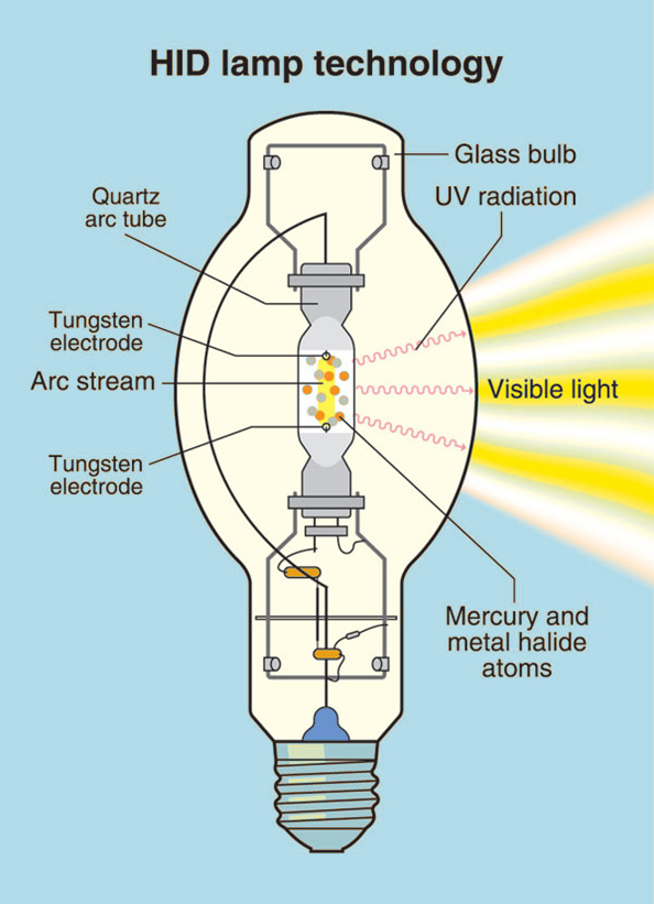 HID Lights for Beginners High Intensity Discharge Lamps Explained