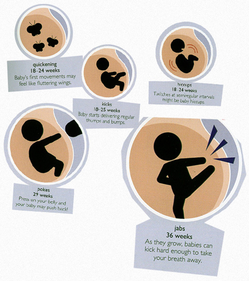 Light's First Ever Kick! The Blog of Light