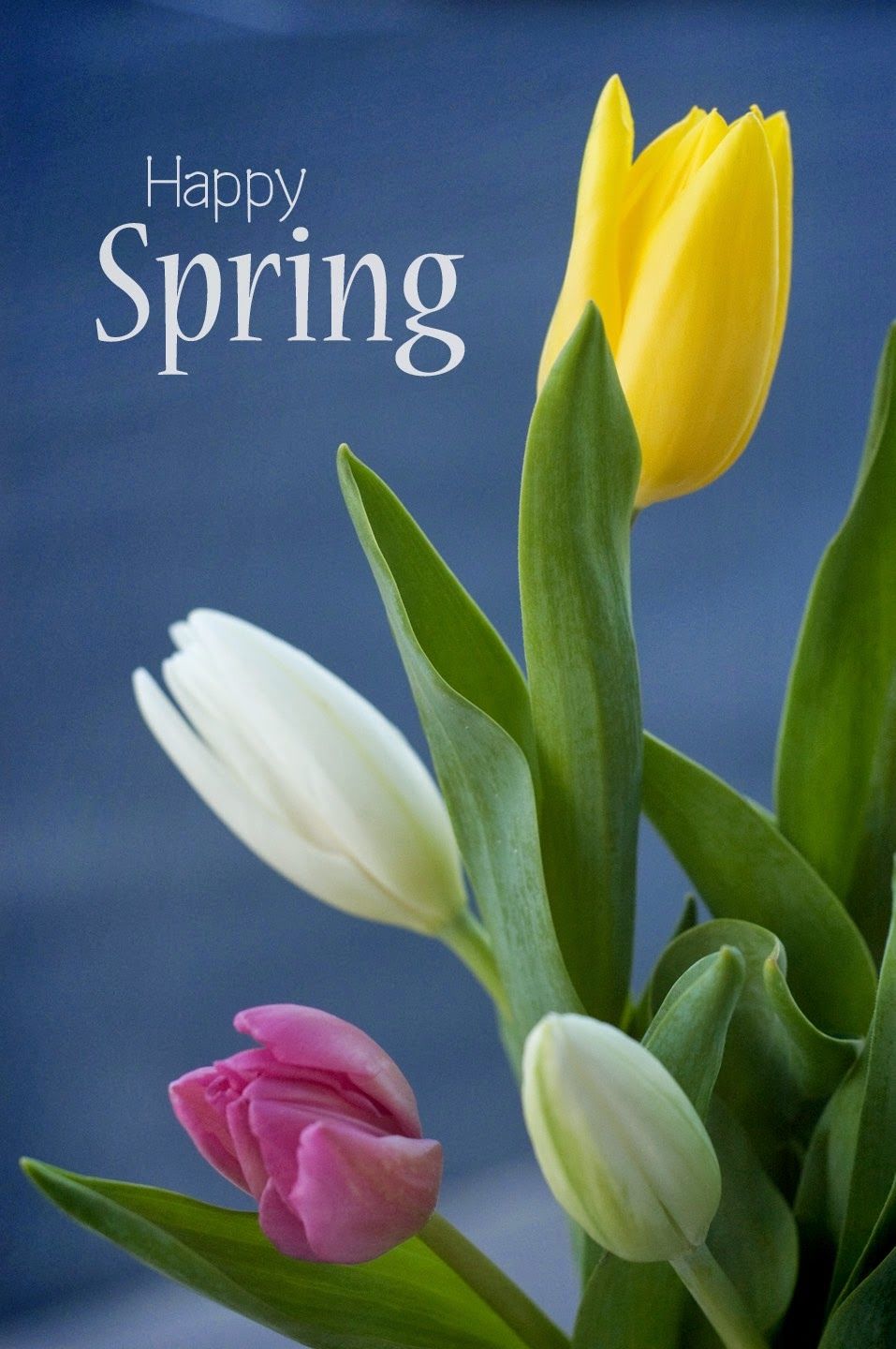 Happy Spring Pictures, Photos, and Images for Facebook, Tumblr