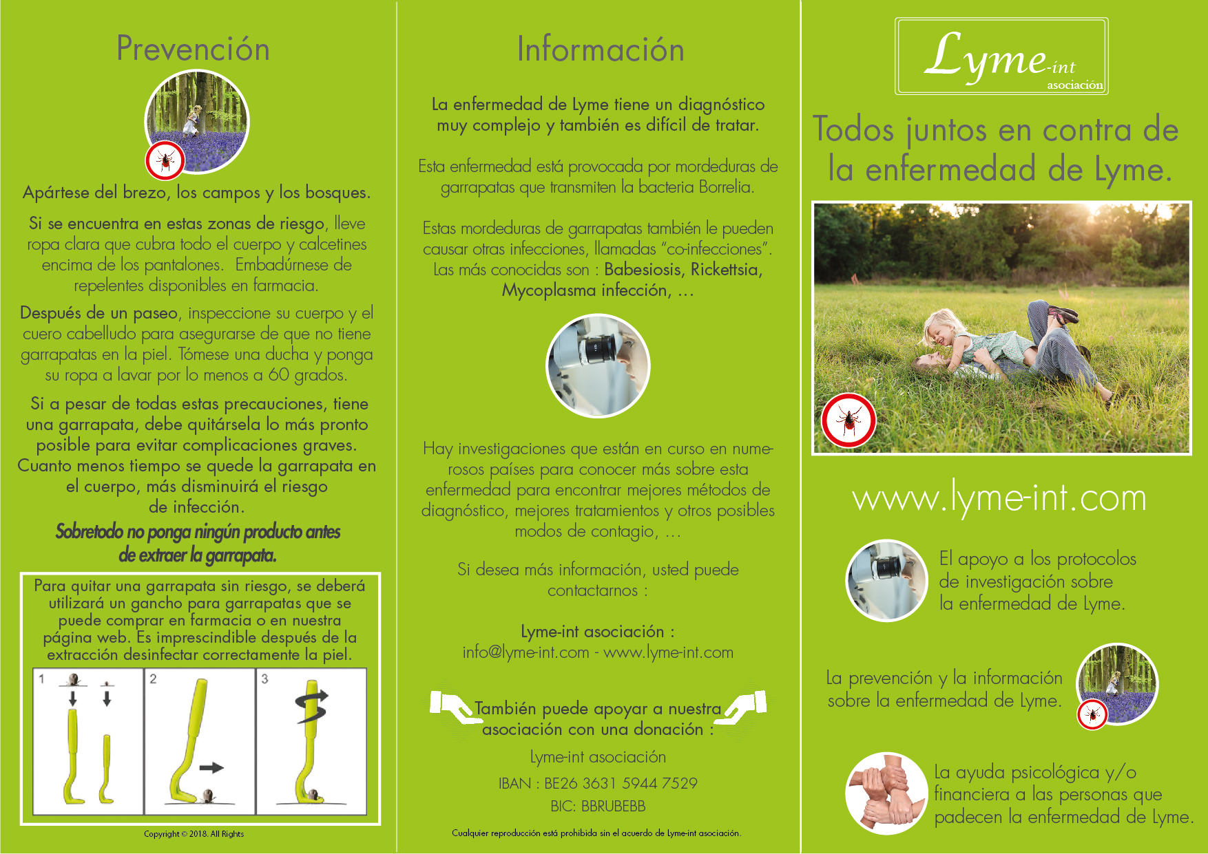 Flyer Spanish Lymeint Lyme disease worldwide