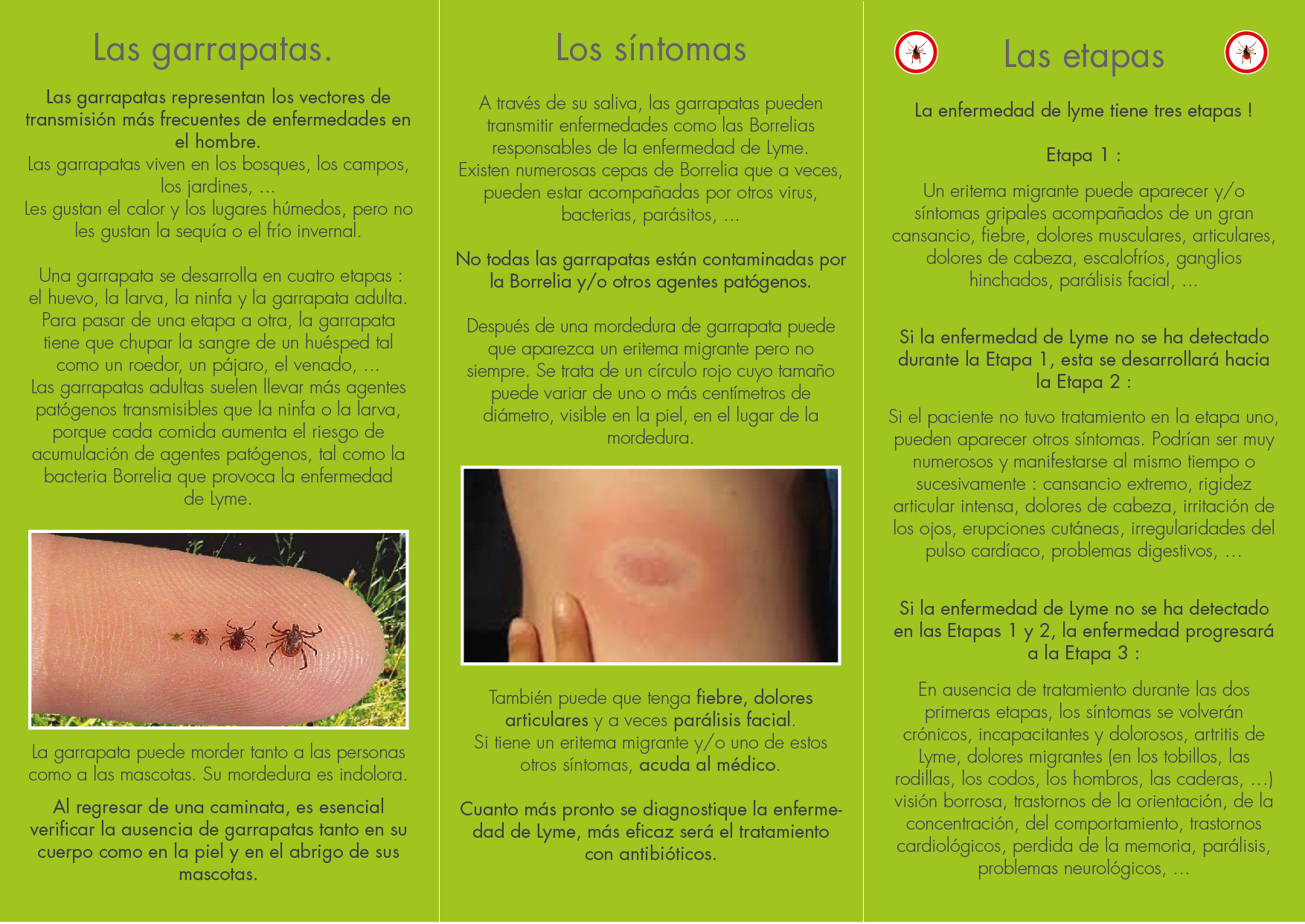 Flyer Spanish Lymeint Lyme disease worldwide