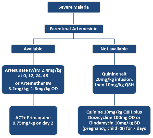 Treatment Of Malaria Malaria Site